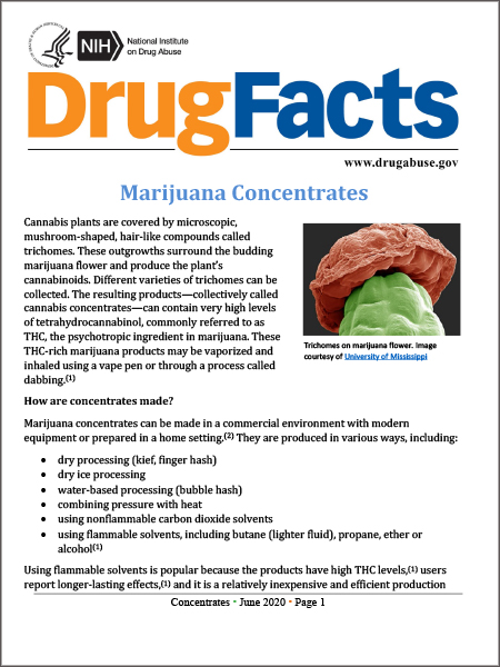 El Canabis (marihuana) – DrugFacts  National Institute on Drug Abuse (NIDA)