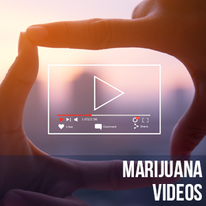 Marijuana Videos
