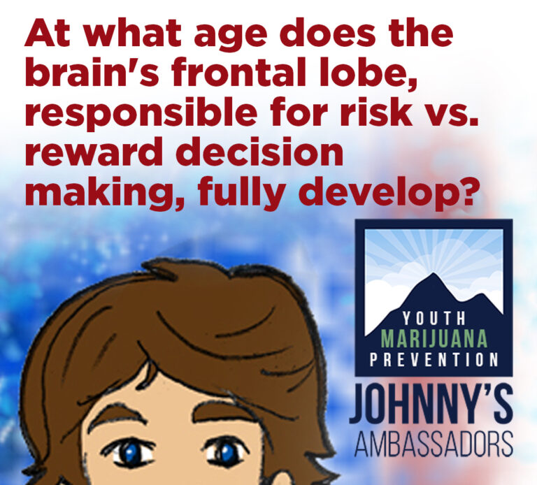 At what age does the brain s frontal lobe fully develop johnny s